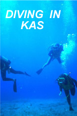 Divers